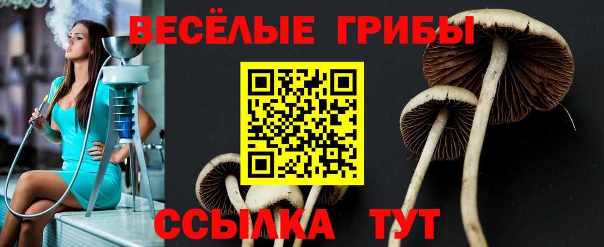 Галлюциногенные грибы Cubensis Партизанск